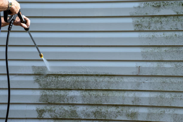 Best Hoarding Cleanup  in Newton, MA