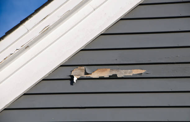 Best Demolition Debris Removal  in Newton, MA